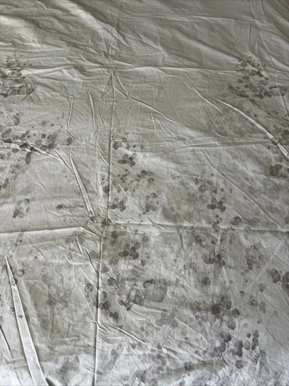 Calvin Klein Full/Queen Beige/Grey Aquarelle Watercolor Flowers Duvet Cover